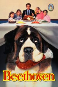 Beethoven บีโธเฟน ชื่อหมาแต่ไม่ใช่หมา (1992)