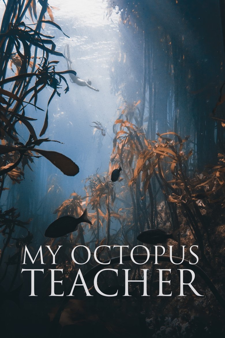 My Octopus Teacher บทเรียนจากปลาหมึก (2020)