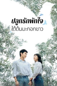 The White Olive Tree ปลูกรักพักใจ ใต้ต้นมะกอกขาว (2025)