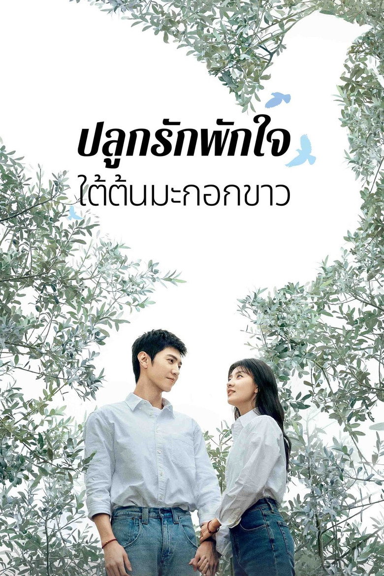 The White Olive Tree ปลูกรักพักใจ ใต้ต้นมะกอกขาว (2025)